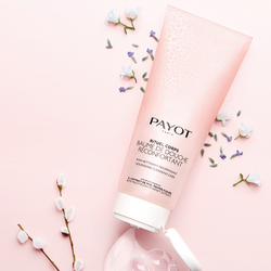 Body Shower - Cleanse and Nourish – PAYOT